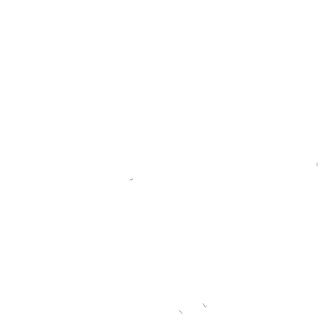Rogue Wolf Collective Logo